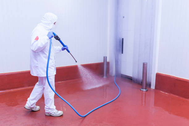 Best Post-Construction Pressure Washing  in Mattituck, NY
